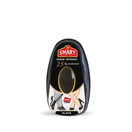 ESPONJA SMART HOBBY